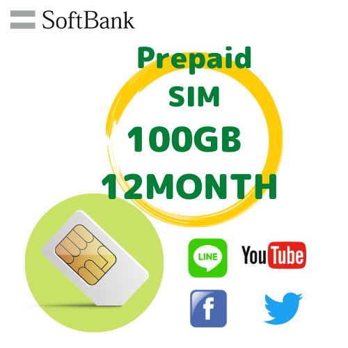 Prepaid SIM data 100GB plan 12months