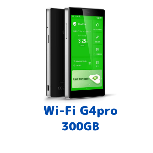 Pocket WiFi + 300GB (10GB/日)