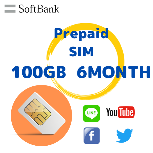 プリペイドSIM データ100GB 6ヶ月